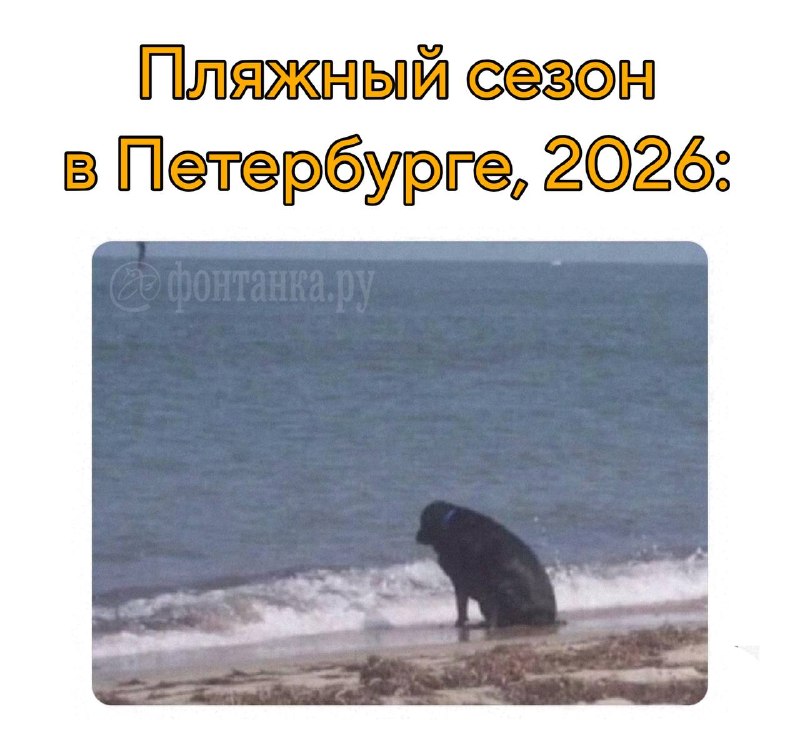 В Петербурге только два пляжа признаны безопасными для купания