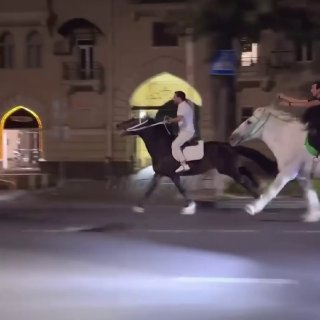 В центре Ташкента мужчины устроили гонку на лошадях