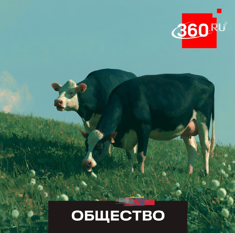 В Подмосковье начали вносить границы сельхозугодий в ЕГРН