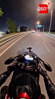 В Москве спасли кота, попавшего под колеса автомобилей