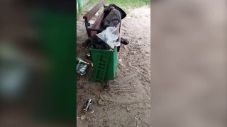 Бомжи оккупировали детские площадки Тюмени