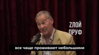 Британский политик Руперт Лоу раскритиковал шариатские суды в Великобритании
