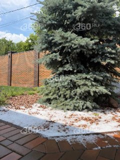 Иллюстрация 3