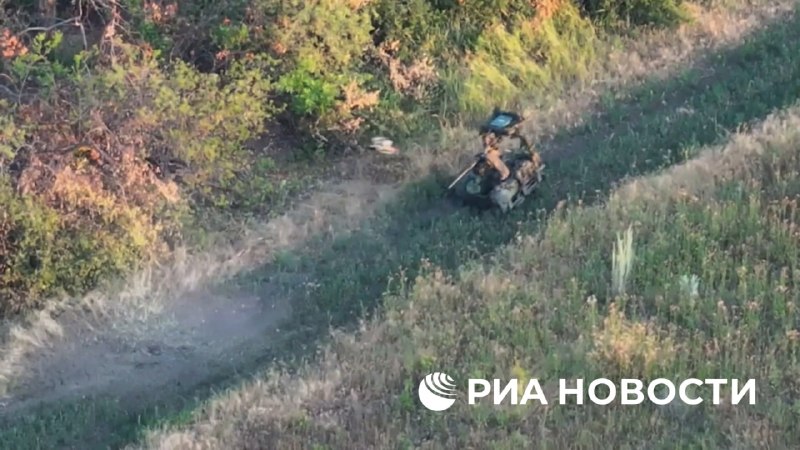 Иллюстрация 2