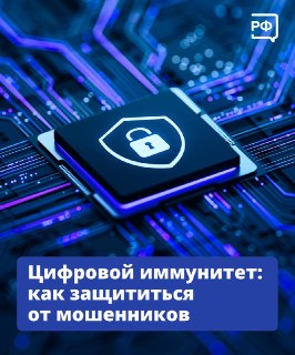 На платформе «Содружество» запустили бесплатный курс по борьбе с кибермошенничеством
