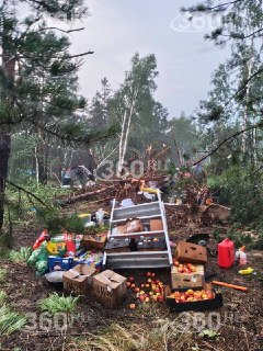Иллюстрация 5