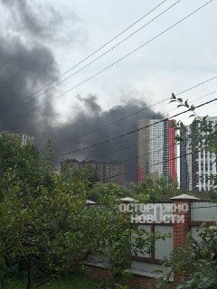 Иллюстрация 5