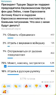 73% подписчиков считают, что Эрдоган намекнул коллегам на «самострел»