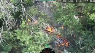 Работа БПЛА батальона им. Максима Кривоноса: уничтожены укрытия и логистический пункт
