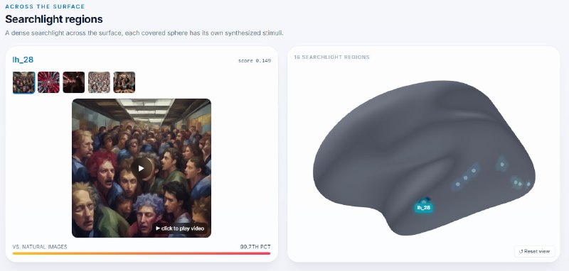 Создан сайт NEvo для изучения реакций мозга на нейросетевой контент