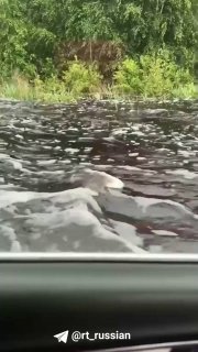 Иллюстрация 1