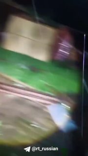 Ураган в Подмосковье разрушил приют для животных