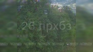 Расчеты БпЛА группировки «Восток» уничтожили антенны управления БпЛА ВСУ на Запорожском направлении