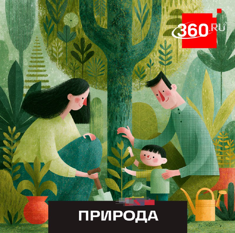 В Подмосковье стартовал конкурс семейных привычек «Наша семейная привычка»
