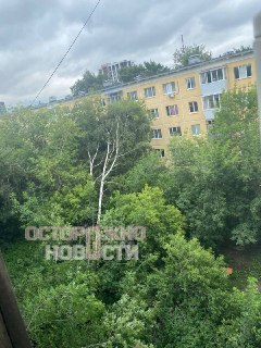 Иллюстрация 7
