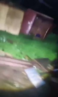 Ураган в Наро-Фоминске разрушил зооприют и повредил крыши домов