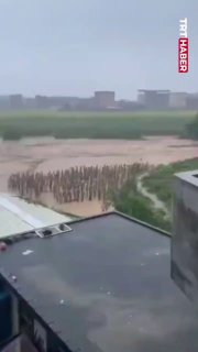 В Китае из-за наводнения на волю вырвались тысячи змей