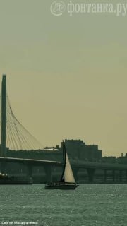 Жара выгнала петербуржцев к воде