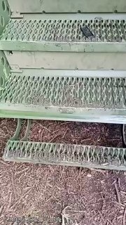 Сообщается о колоссальных потерях ВСУ в живой силе и технике