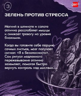 Иллюстрация 3