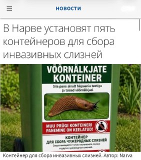 В эстонском городе Нарва установят контейнеры для сбора чужеродных слизней