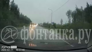 Иллюстрация 1