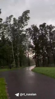Молния ударила в нескольких метрах от девушки под Петербургом