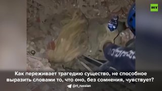 Жительница Венесуэлы рассказала, как собака спасла её от землетрясения