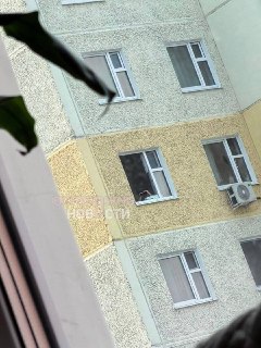 Иллюстрация 2