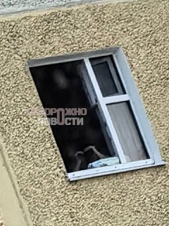 Иллюстрация 3