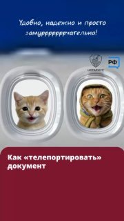 Оформление нотариального согласия на выезд ребёнка за границу переходит в электронный формат