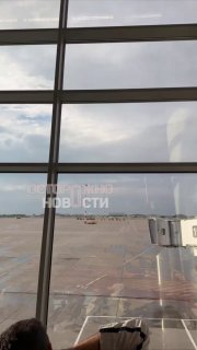 Иллюстрация 5
