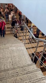Иллюстрация 1