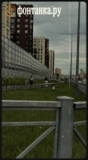 Инструкция по выживанию в Петербурге. Выпуск 2