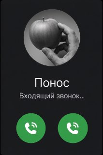 В Мичигане зафиксирована вспышка паразитарного заболевания, затронувшая более 2400 человек