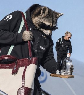 Иллюстрация 1