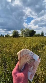 Мужчина заработал более 500 тысяч рублей в месяц на продаже травы в России