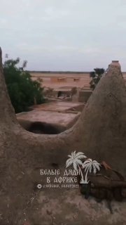 Украинские военные специалисты в Африке