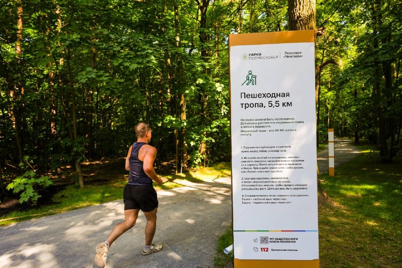 Иллюстрация 5
