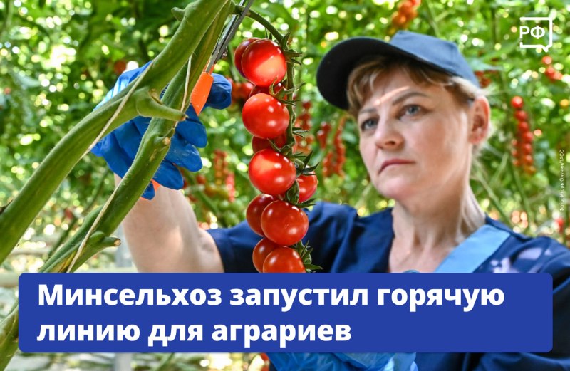Минсельхоз запустил горячую линию для решения проблем с топливом у аграриев и ритейла