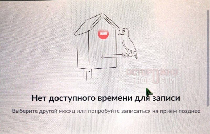 Москвичи жалуются на отсутствие свободных слотов для записи на загранпаспорт через Госуслуги
