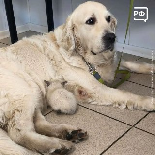 Иллюстрация 2