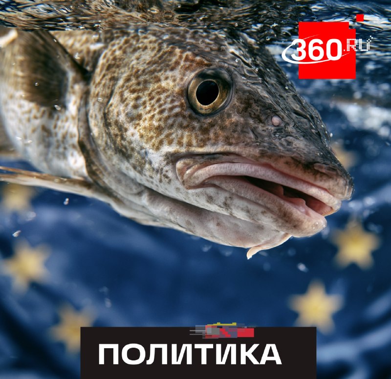 Несогласованность в ЕС по вопросу санкций против российской трески