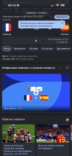 Автор возмущен политизацией футбольного чемпионата мира