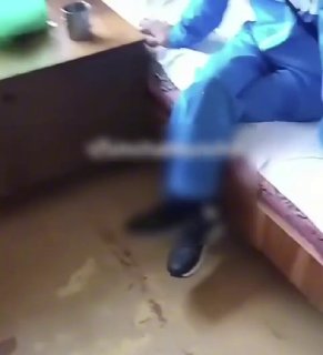 Иллюстрация 1