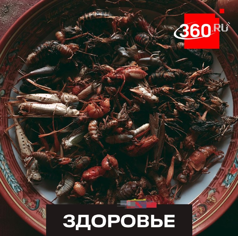 Ученые связали отношение человека к насекомым с эволюционными процессами