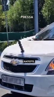 Водитель в Узбекистане получил 15 суток за игрушку на капоте машины