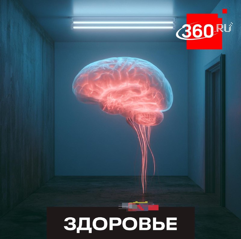 Ученые из Нидерландов нашли причину устойчивости некоторых людей к болезни Альцгеймера