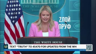 Симпатяжка Левитт провела пресс-конференцию в Белом доме и рассказала о визите Трампа на финал ЧМ по футболу