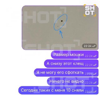 Иллюстрация 4